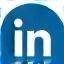 Icona LinkedIn